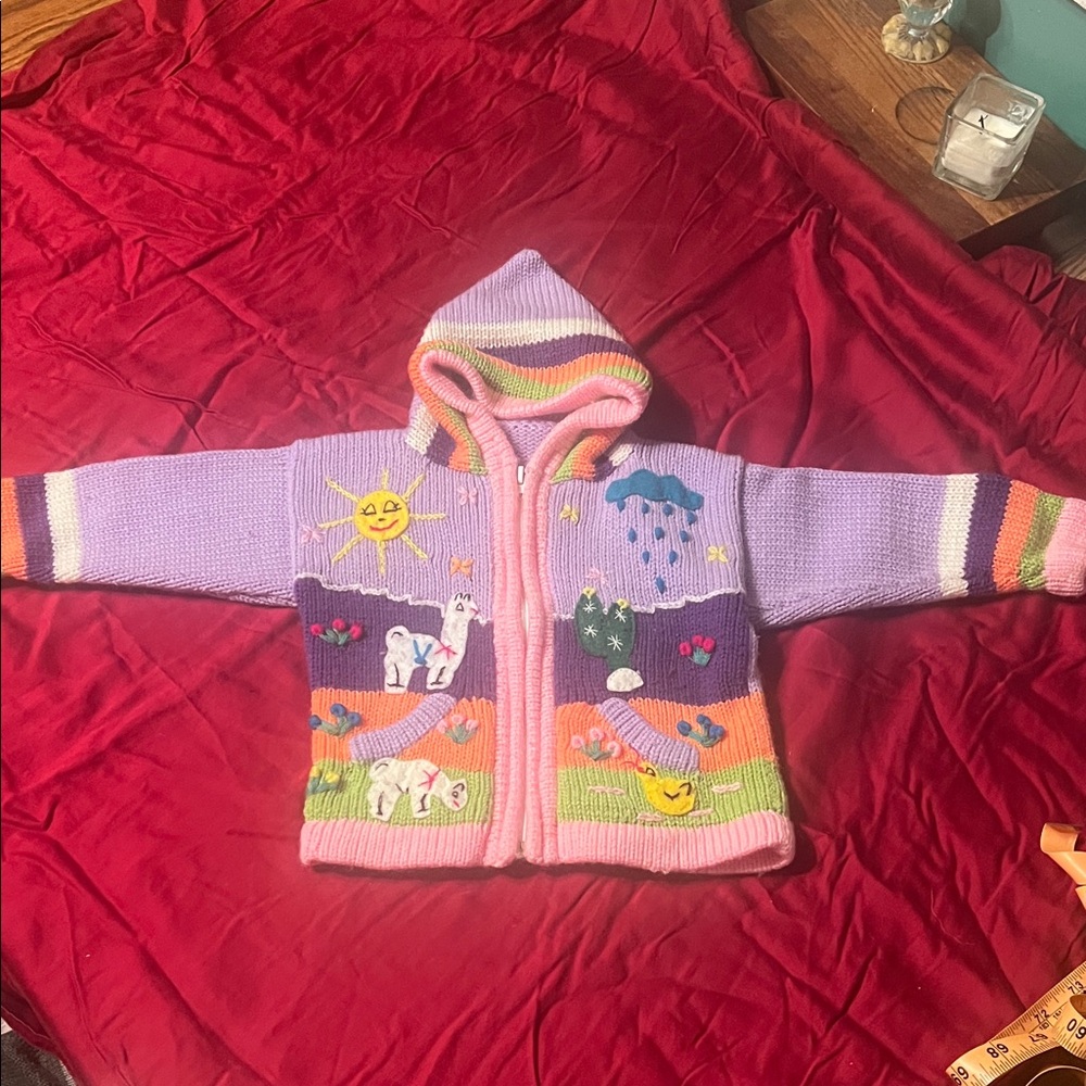 Colorful Peruvian Knit Hooded Sweater